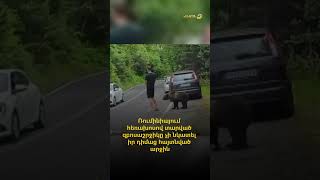 Ռումինիայում հեռախոսով տարված զբոսաշրջիկը չի նկատել իր դիմաց հայտնված արջին
