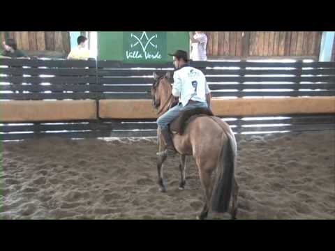 Presilha Preciosa - 1º Lugar Fêmeas