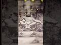 100 Years Of Old Pics Of Sabarimala Ayyappa Sabarimala Oldpic Harivarasanam