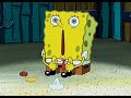SpongeBob Filter Feed