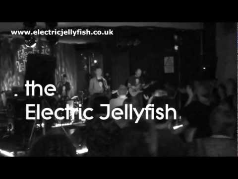 Electric Jellyfish Live Promo