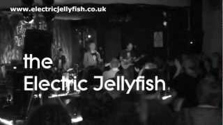 Electric Jellyfish Live Promo