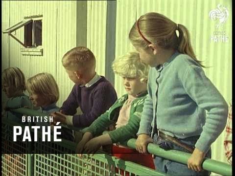 Out Takes / Cuts From Cp 363 - 2 Of 2 - Icelandic Youth And St Valentine's Cards (1961)