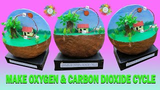 How to Make Oxygen cycle and Carbon dioxide cycle Model at home