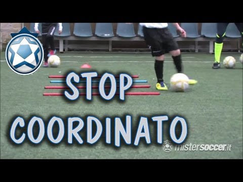 Little Friends Training - 06 - Coordination, Stopping, and Leading