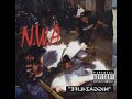 N W A Efil4zaggin Album Review 1991 Album