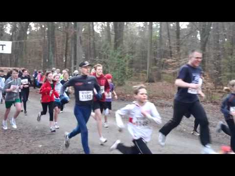 5 km Schüler-/Jugendlauf des VfL Tegel