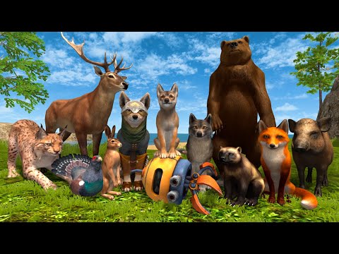 Wolf Hero: Animals vs Robots