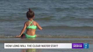 How long will the clear water in Galveston stay