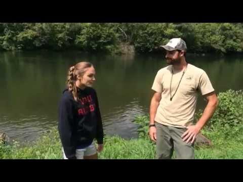 The Fish Head Chronicles (Lower New River Episode)