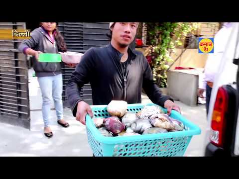 Love for Pets। पशु प्रेमी