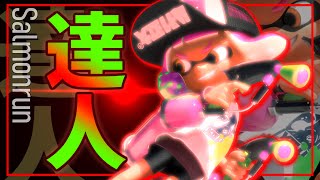 カンスト目指して楽しくサーモンラン。【サーモンラン】