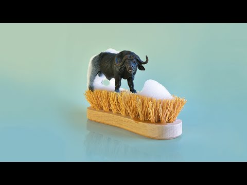 Buffles : Bande annonce 