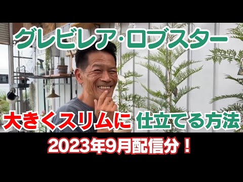 園芸 ロブスターの爪、カカビーク