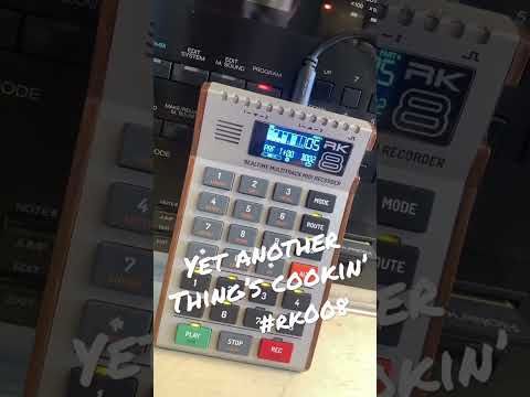 🤔Those little cut-down track indicators… what could it be??