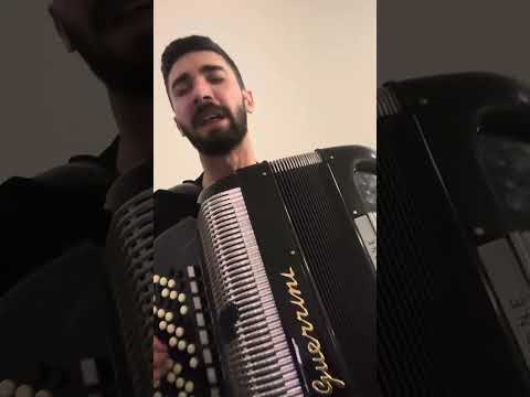 Denis Markovic Papun - Rumena Ruzo (Uzivo)