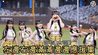 可愛滿分！邊荷律 中信兄弟應援 fancam