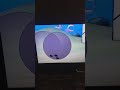Patrick Yells Finland