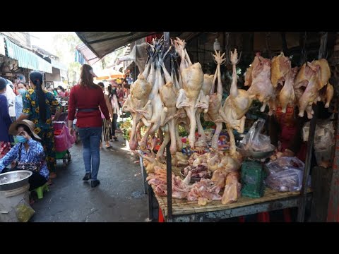 Morning Sunday Activities of Vendors @Tom Nub Market - Many Different Varieties Food Selling in Town