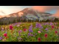 Clannad - You're The One - DJNeonBlue Clannad - You're The One