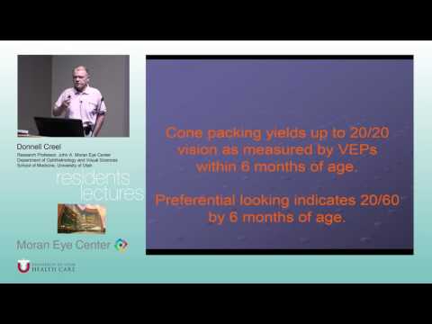 Visually Evoked Potentials