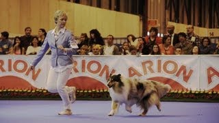 BOB Rough Collie Int Madrid 2013