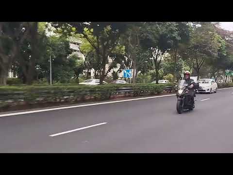 morning+ often+ nit sg views