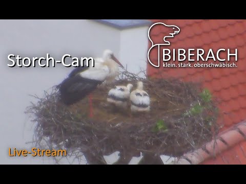 Biberach - Market Square live cam