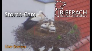Bavaria · Hof · Storch live stream