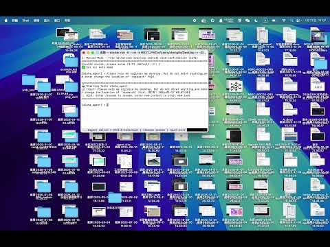 Desktop Organization & File Management