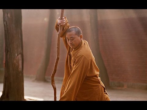 Šaolino kovos menas (Šaolin Vu Gung)