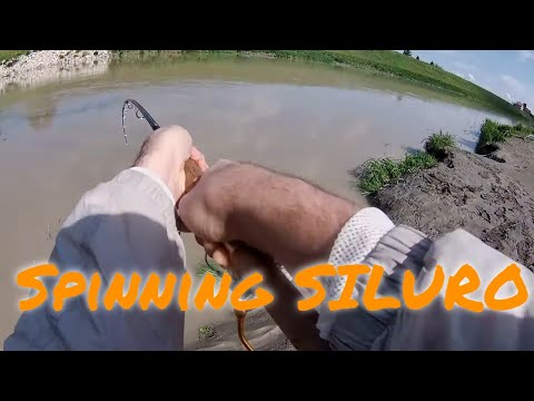 Spinning Siluro con la piena
