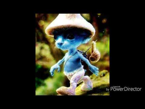 RayBött Ohm - Overload Pack "mx"