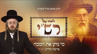 הרב מנחם מנדל פומרנץ | לאורו של רש"י - יום ה' פרשת תזריע • מי נותן את המכה •