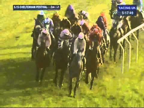 2012 Weatherbys Champion Bumper