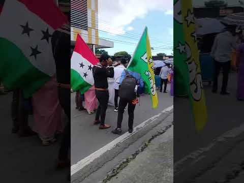 defiles  de las mil nagua David chiriqui  grupo IYELI KENA  de la  resistencia indígenas de Panamá