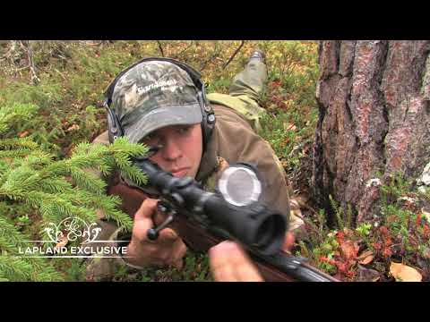 Lapland Exclusive capercaillie hunting