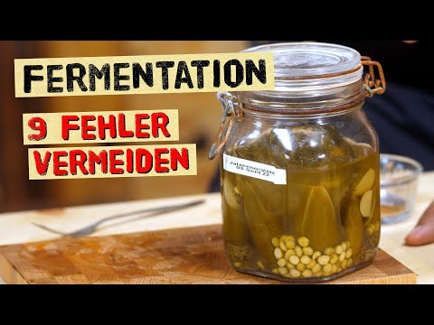 Avoid 9 typical fermentation mistakes + Extra tips from a fermentation expert
