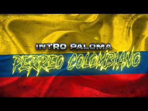 INTRO PALOMA🥤PERREO COLOMBIANO🎺PITY DJ FT. BRIAN REMIX