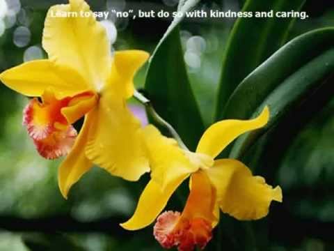 گلهای اُرکید...با صدای خاتون - Golhay Orkid Ba Sedaye Khatoun