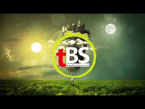 Deep House - BassBears + New Beat Order & Robbie Rosen - Control Me