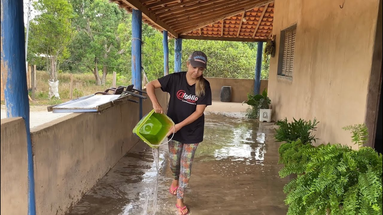 Lida no Sítio: Fiz Limpeza + Encontrei o Ninho no Mato+ Vejam a Fartura nas Nossas Frutíferas