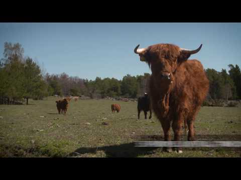 EU Sustainable Energy Week Awards 2017 Finalist - European Small Islands Federation