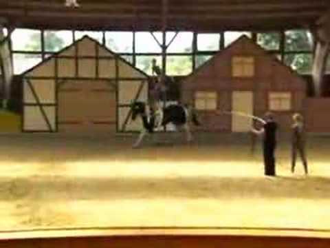 CVI** Krumke 2008 - The Wall