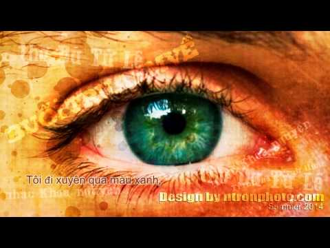 Buổi trưa em về - Tịnh Hiếu