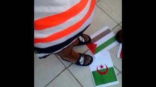 Free palestine Fuck israel (maroc,Algérie)