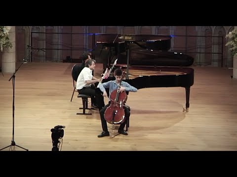 P. de Sarasate - Zigeunerweisen op. 20 | LIVE | Krzysztof Michalski