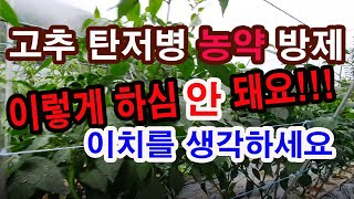 고추 탄저병 농약방제 이렇게 하심 안돼요 이치를 생각하세요(고추 병충해 방제, 고추 탄저병 방제, 농약 사용…