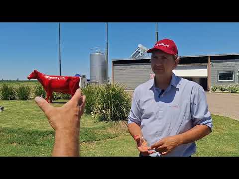 Rodolfo Gonsolin en Jornada Tranqueras Abiertas - Tambo "Don Ino" - Ordóñez (Córdoba)