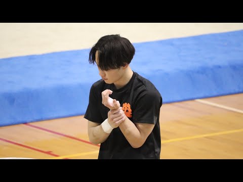 岩﨑大翔の体操競技パフォーマンス — 全日本選手権出場